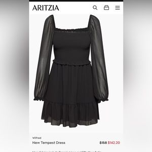 Aritzia Tempest Dress Large